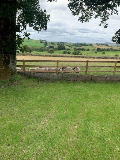 Ivy House Farm, Near Longnor Villa Longnor  Eksteriør bilde
